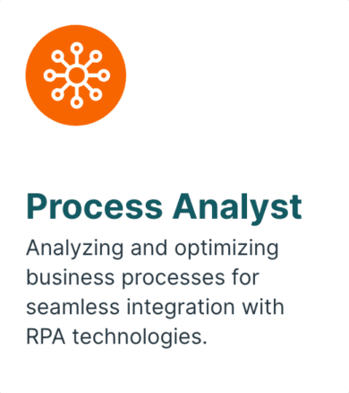 Process Analyst